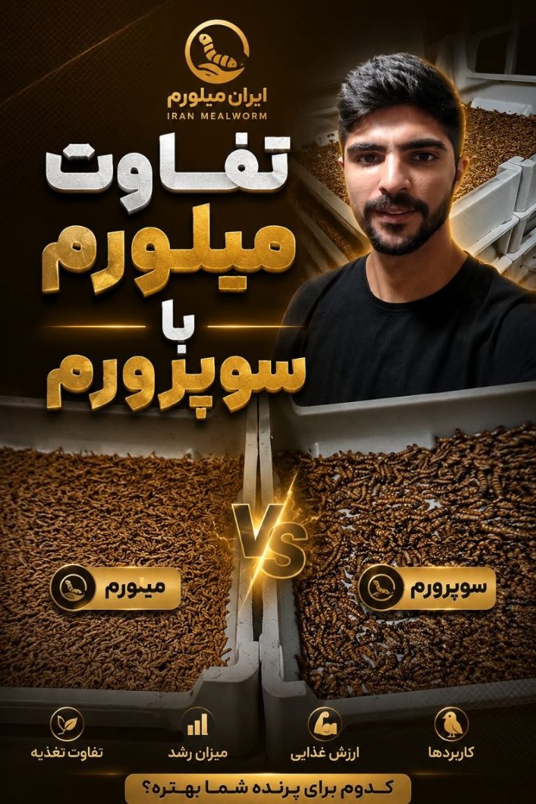 تفاوت میلورم و سوپرمیلورم