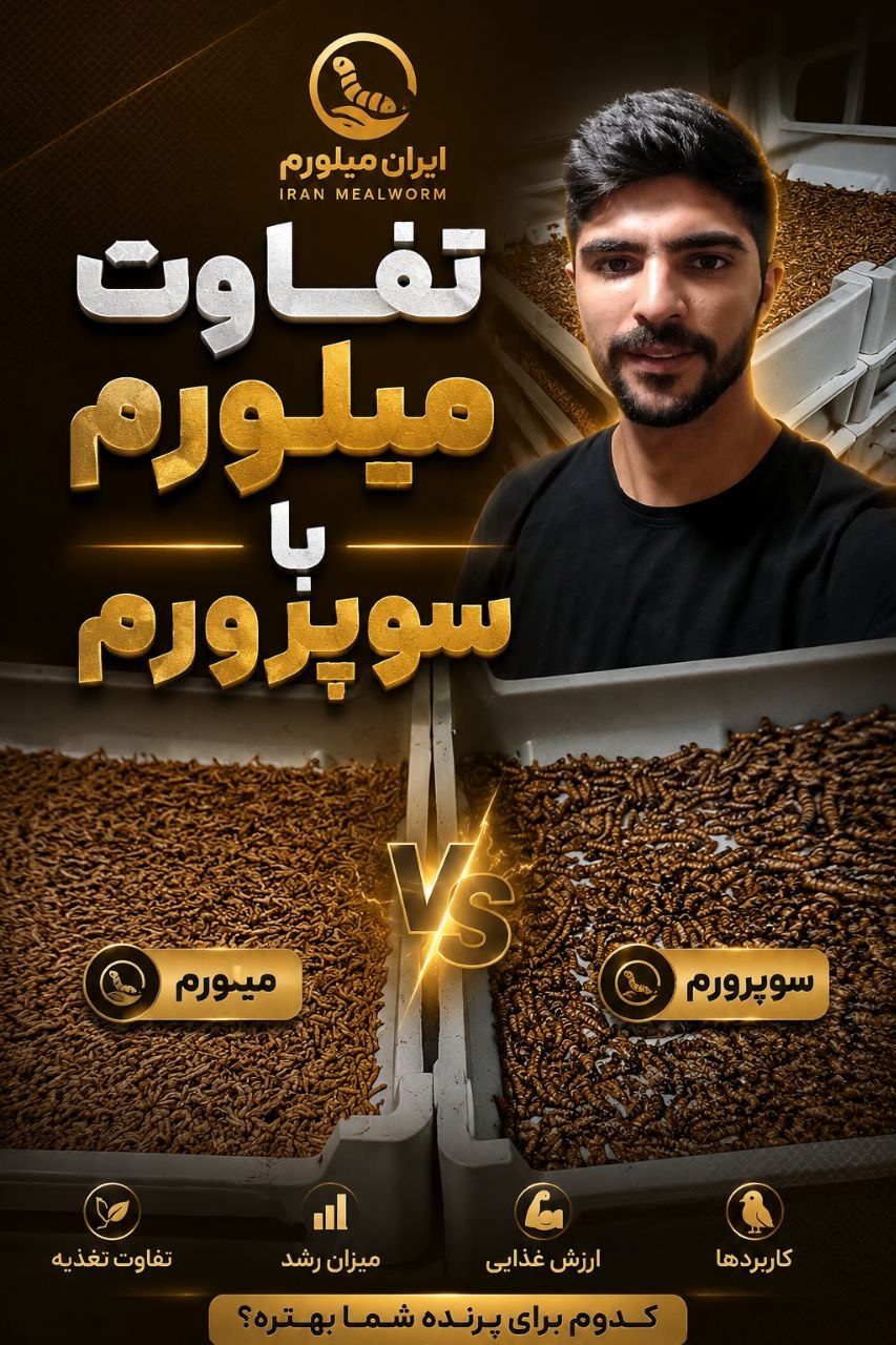 تفاوت میلورم و سوپرمیلورم