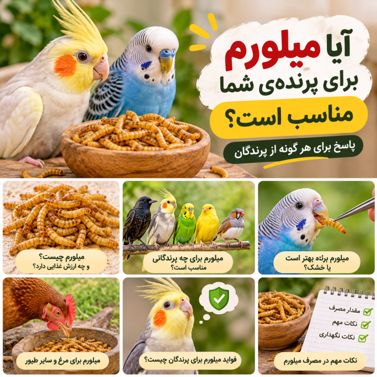 راهنمای میلورم برای پرندگان