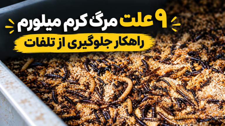 ۹ علت مرگ کرم میلورم و راهکار جلوگیری از تلفات
